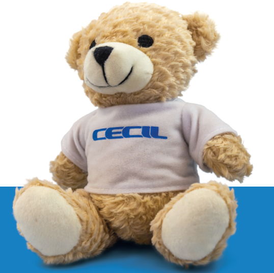 A Cecil Bearhug For Charity From CCL