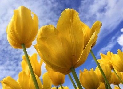 Spring clean your excess stock